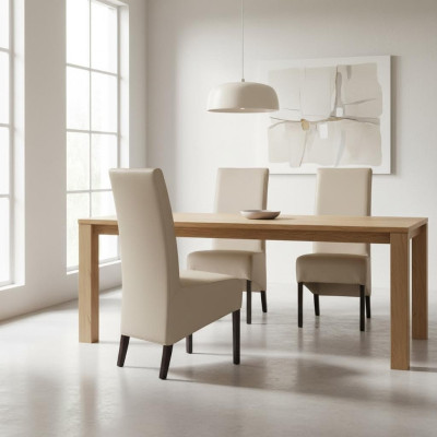 Design Fotel Zestaw Podkładek 2x Krzesło Drewno Krzesła Gastro jadalnia Nowość