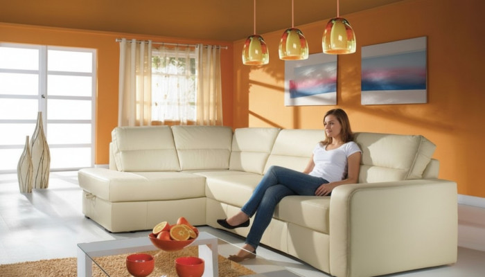 Narożnik kanapa Żywy krajobraz Narożnik 100% Skóra Sofa Siedziba Ustawić Modern