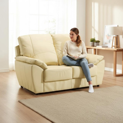 Sofa 2 miejsce do siedzenia Design Sofy Podkładka Nowoczesne kanapy Skóra Relaks Skóra