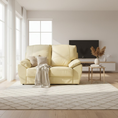 Sofa 2 miejsce do siedzenia Design Sofy Podkładka Nowoczesne kanapy Skóra Relaks Skóra
