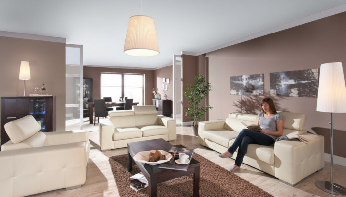 Prawdziwa skóra Sofa Sofa Zestaw sofowy 3+2 Siedziba Modern Design Podkładka Ustawić