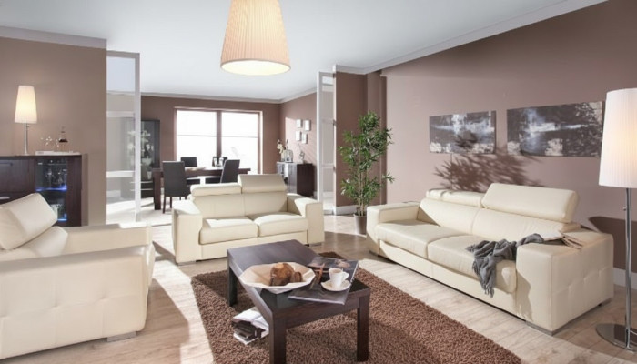 Prawdziwa skóra Sofa Sofa Zestaw sofowy 3+2 Siedziba Modern Design Podkładka Ustawić