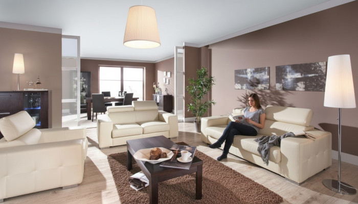 Sofa 2 miejsce do siedzenia Design Sofy Podkładka Kanapy Skóra Relaks Nowoczesna dwuosobowa sofa
