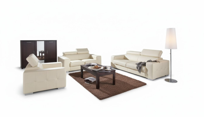 Sofa 2 miejsce do siedzenia Design Sofy Podkładka Kanapy Skóra Relaks Nowoczesna dwuosobowa sofa