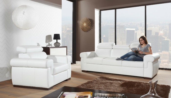 Sofa 2 miejsce do siedzenia Design Sofy Podkładka Modern Siedziba Materiał Skóra Dwumiejscowa Nowość