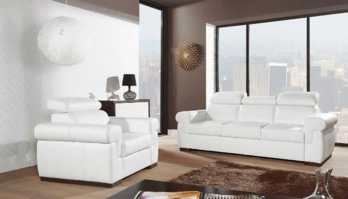 Sofa 2 miejsce do siedzenia Design Sofy Podkładka Modern Siedziba Materiał Skóra Dwumiejscowa Nowość