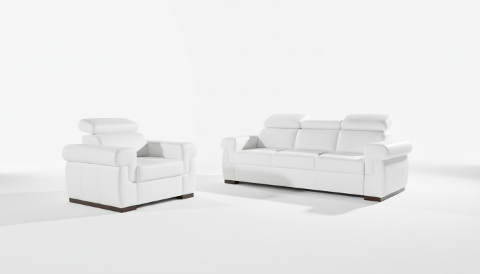 Sofa 2 miejsce do siedzenia Design Sofy Podkładka Modern Siedziba Materiał Skóra Dwumiejscowa Nowość