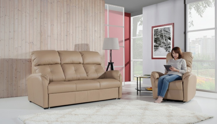 Zestaw sofowy 3+2 miejsce do siedzenia Zestaw Design Sofa Podkładka Kanapa 100% Skóra Funkcja łóżka