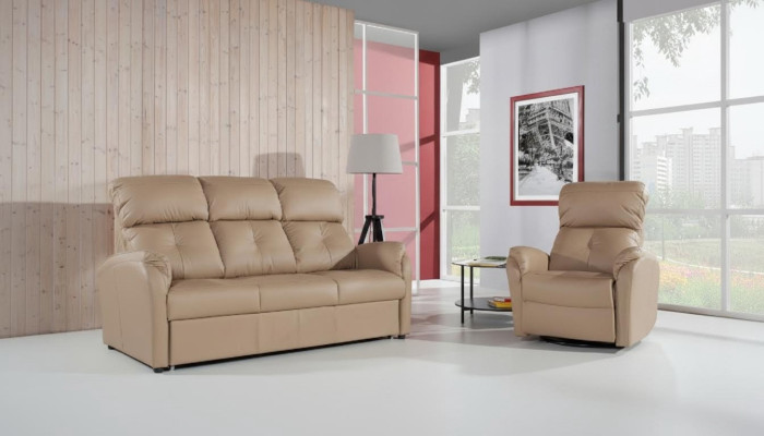 Sofa 2 miejsce do siedzenia Design Sofy Podkładka Kanapy Skóra Relaks Modern Siedziba