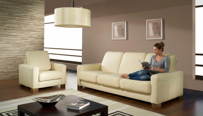 Dwuosobowa kanapa Klasyczna skórzana sofa Kanapa Podkładka Sofa 2 miejsce do siedzenia Skóra