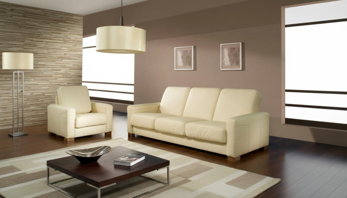 Dwuosobowa kanapa Klasyczna skórzana sofa Kanapa Podkładka Sofa 2 miejsce do siedzenia Skóra