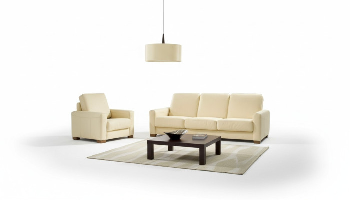 Dwuosobowa kanapa Klasyczna skórzana sofa Kanapa Podkładka Sofa 2 miejsce do siedzenia Skóra