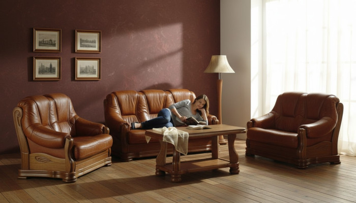Klasyczne kanapy trzyosobowe Podkładka Sofa 3-osobowa Kanapy Skóra