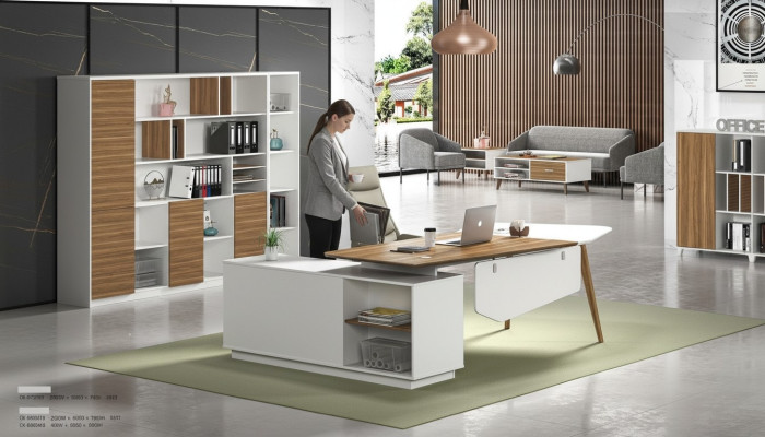 Szafka na artykuł Półka na książki Półki Szafa Deko Luxury Office Meble Szafki