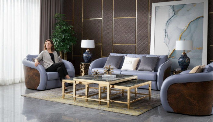 Design Meble Sofa Coch 3 Siedziba Podkładka Sofy Sofy Salonowe Kanapy Skóra Trzyosobowa