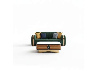 Sofa 2 miejsce do siedzenia Luksusowa Designerska Kanapa Nowa Sofa Luksusowe Sofy Tapicerowane Dwumiejscowe Nowość