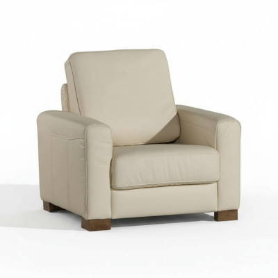 Fotel Sofa Jednoosobowa Sofa Telewizor Sofa Jednoosobowa Meble do Salonu Sofy Nowość