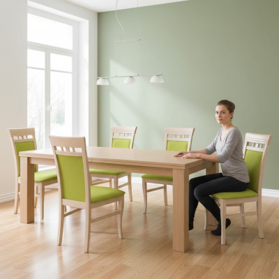 Ustaw Fotel New 4x Krzesła Krzesło Podkładka Design Lounge Kuchnie Siedziba jadalnia