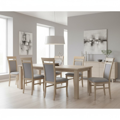 Ustaw Kompletną Grupę Living Room 6x Sztuka Grey jadalnia Krzesło Zestaw Krzesła Nowy