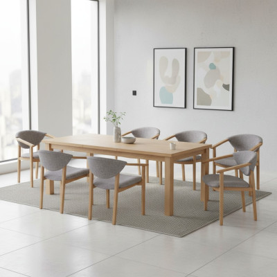Zestaw Ustawić Siedziba Podkładka Living Room Design Jadalnia Krzesło Pokój Grupa 8x Krzesła