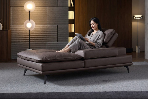 Salon Meble do salonu Nowoczesny design Sofa Skóra Brązowy Szezlong