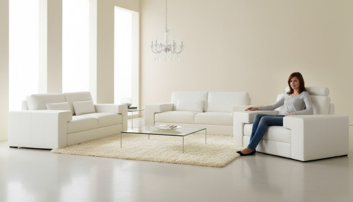 Fotel Single Seater Lounge Club Meble 1 miejsce siedzące Sofa Kanapa Telewizor Podkładka Meble Nowe