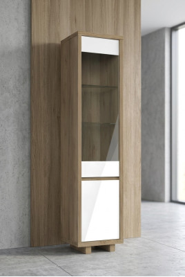 Szkło Gablota Szafa Witryny Szafki do Salonu Szafki Design Nowoczesne Włochy Nowe