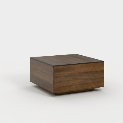 stolik kawowy stoły Designer Stolik New Living Room Tabela Stoliki do drewna