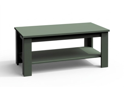 Stolik pomocniczy Massive Meble Tabela stolik kawowy Stolik kawowy Drewno 120x60cm Nowy stoły