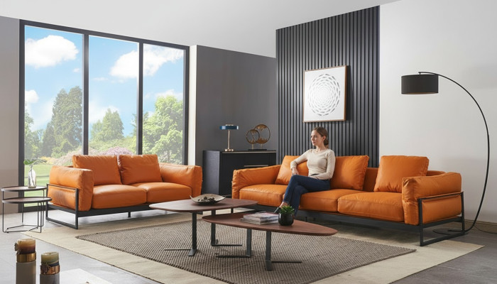 Designerski zestaw sofowy 3+2 miejsce do siedzenia Sofa Podkładka Ustawić włoskie meble