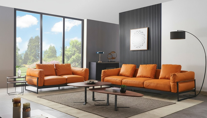 Designerski zestaw sofowy 3+2 miejsce do siedzenia Sofa Podkładka Ustawić włoskie meble