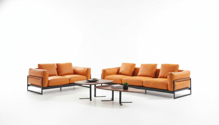 Designerski zestaw sofowy 3+2 miejsce do siedzenia Sofa Podkładka Ustawić włoskie meble