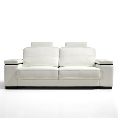 Sofa 2 miejsce do siedzenia Design Nowoczesne sofy Materiał Podkładka Siedziba Dwumiejscowa Skóra Nowość