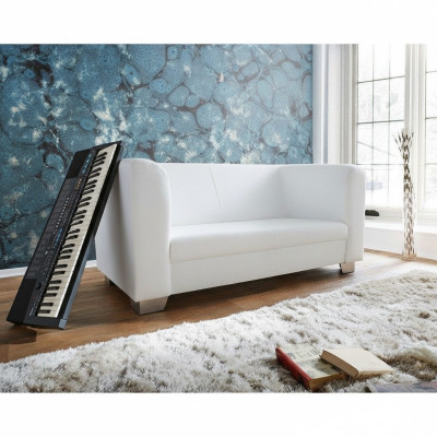 Sofa Couch Design Podkładka Modern Skóra Sofy 2 miejsce do siedzenia Dwumiejscowa Designerska Nowość