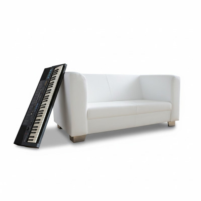 Sofa Couch Design Podkładka Modern Skóra Sofy 2 miejsce do siedzenia Dwumiejscowa Designerska Nowość