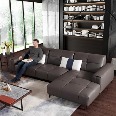 Design Esk Narożnikowa kanapa Kształt litery L Nowoczesne sofy Sofa skórzana Kanapa Sofa Siedziba Żywy krajobraz
