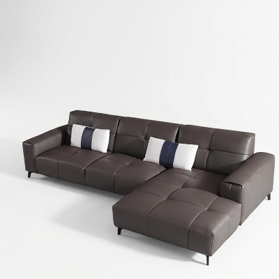 Design Esk Narożnikowa kanapa Kształt litery L Nowoczesne sofy Sofa skórzana Kanapa Sofa Siedziba Żywy krajobraz
