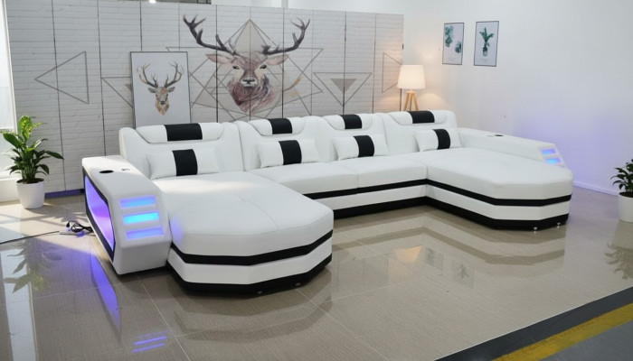 Sofa skórzana Sofa Nowoczesna Podkładka Skóra Żywy krajobraz Design Narożnikowa kanapa Couch Biały