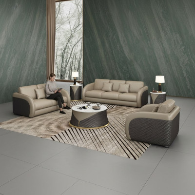 Ustawić Skórę Designerską Kanapę Podkładkę 6-częściową. Zestaw Obcios stolik kawowy