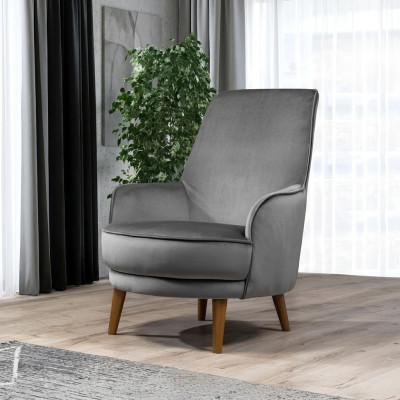 Fotel Siedziba Nowoczesny Design Pokój Dzienny Podkładka Jednoosobowa Relaks Szary Styl Luksus