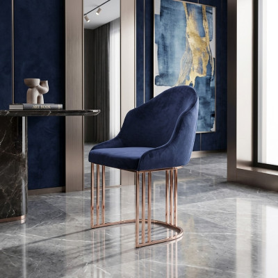 Ustawić Fotel Lounge Kuchnia 8x Design Podkładka Siedziba Krzesła Krzesło Zestaw
