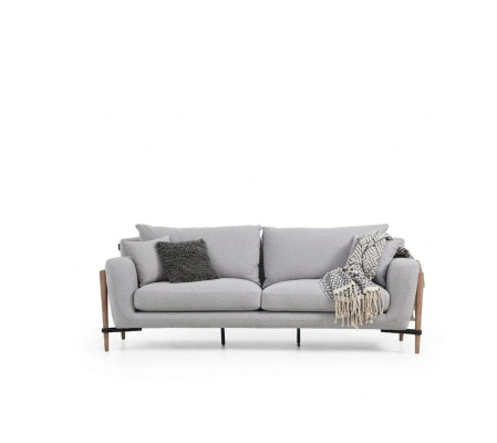Dwuosobowa sofa 2-osobowa Kanapy z tkaniny Współczesny design Salon Szary