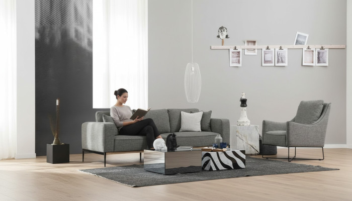 Zestaw sofowy 2 miejsce do siedzenia Fotel Dwuosobowe sofy materiałowe Nowoczesny design Szary