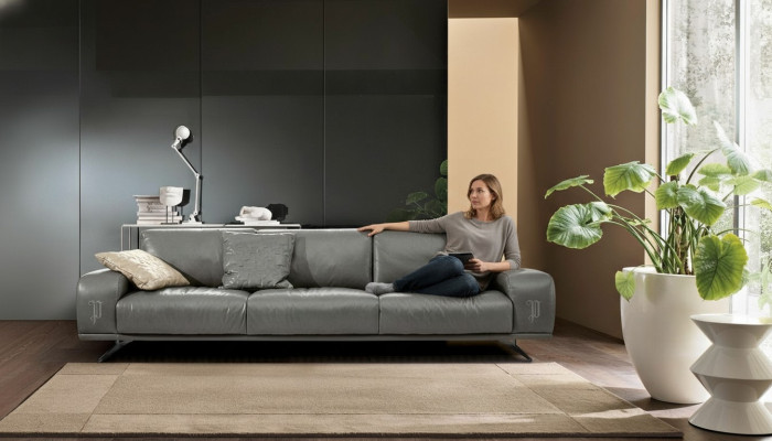 Sofa 3 Siedziba Luxury Meble Salon Skóra Sofa Trzyosobowa Szara Design Prianera