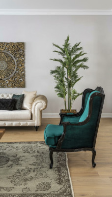Classic Fotel Luxury Podkładka Włókienniczy 1-osobowa Podkładka Jednomiejscowa Modern Green