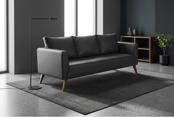 Designerska sofa Czarna kanapa Meble biurowe Luksusowe meble do nauki