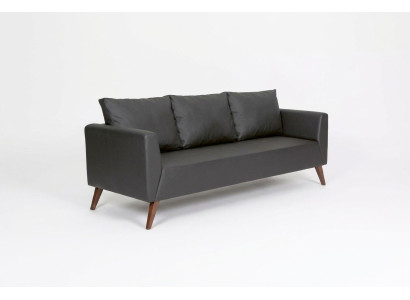 Designerska sofa Czarna kanapa Meble biurowe Luksusowe meble do nauki