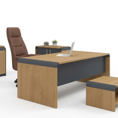 Biurko gabinetowe Tabela Office Meble Study Biurko Design