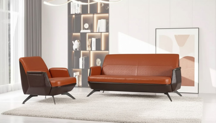 Zestaw wypoczynkowy dwumiejscowy Sofa Fotel do gabinetu luksusowego biura projektanta