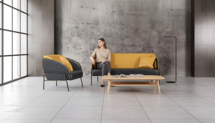 Nowoczesny luksusowy zestaw wypoczynkowy dwumiejscowy Fotel Study Design Meble 2+1